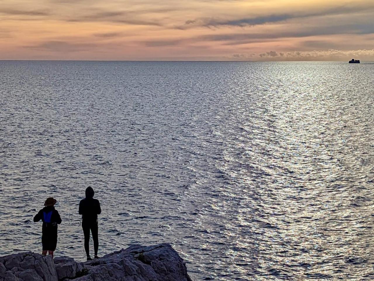 Vue Mer Le Panoramique Vieux-Port De マルセイユ エクステリア 写真